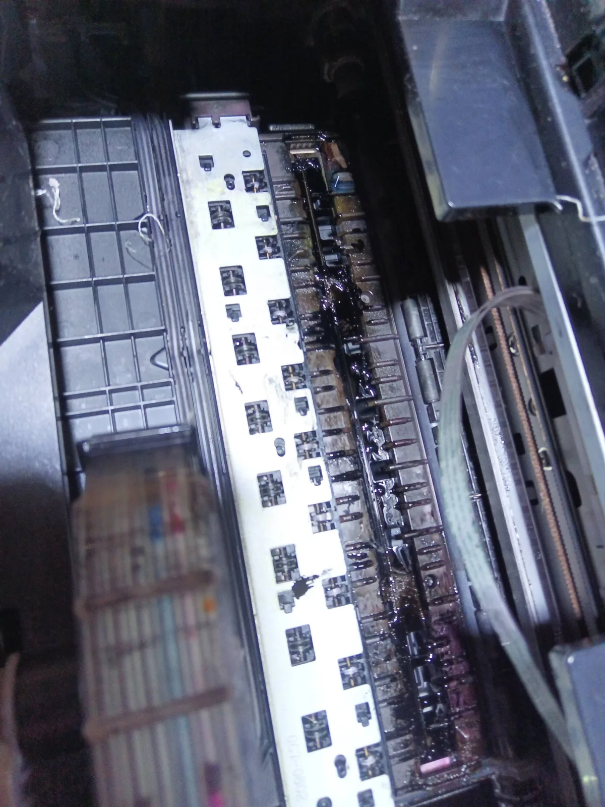 Proceso de purgado Canon G510 — Ciselaptop Oaxaca